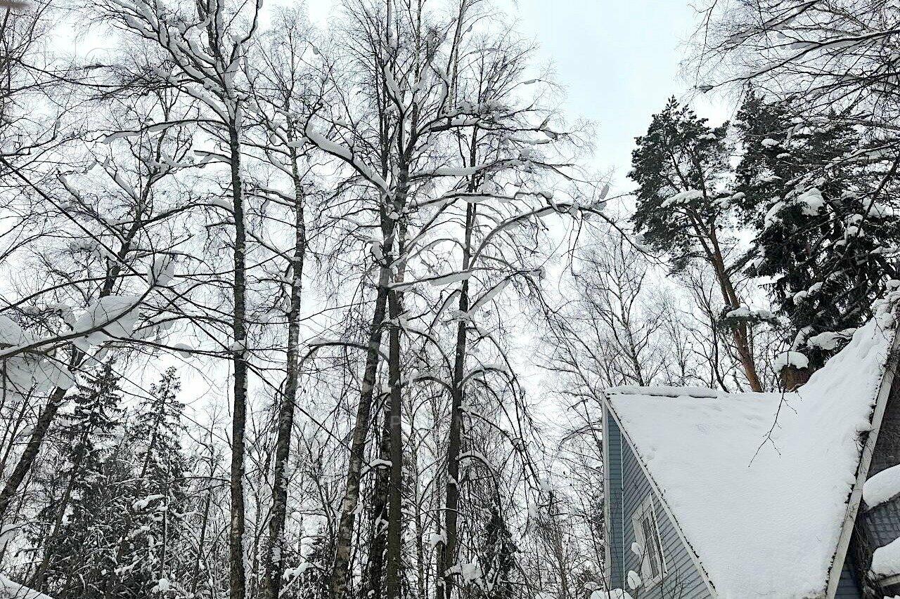 Участок 12.56 сот.