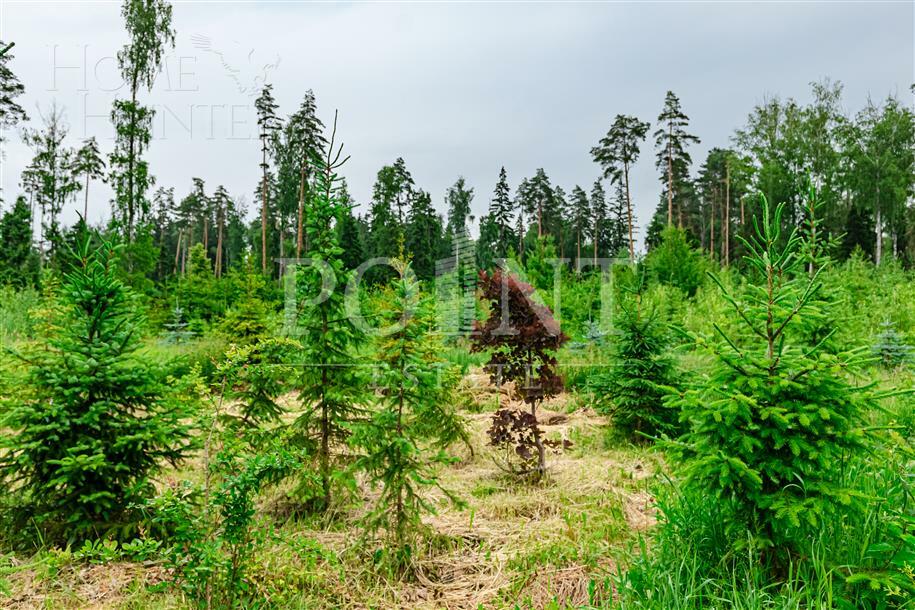 2-этажный коттедж 750 м² без отделки