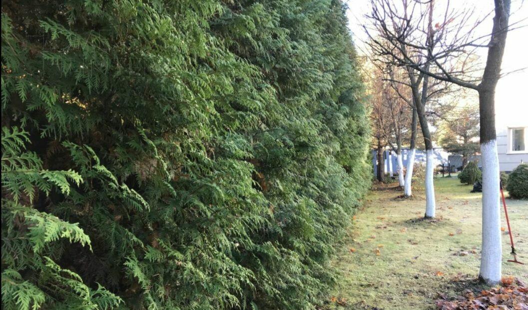 2-этажный коттедж 320 м² с отделкой