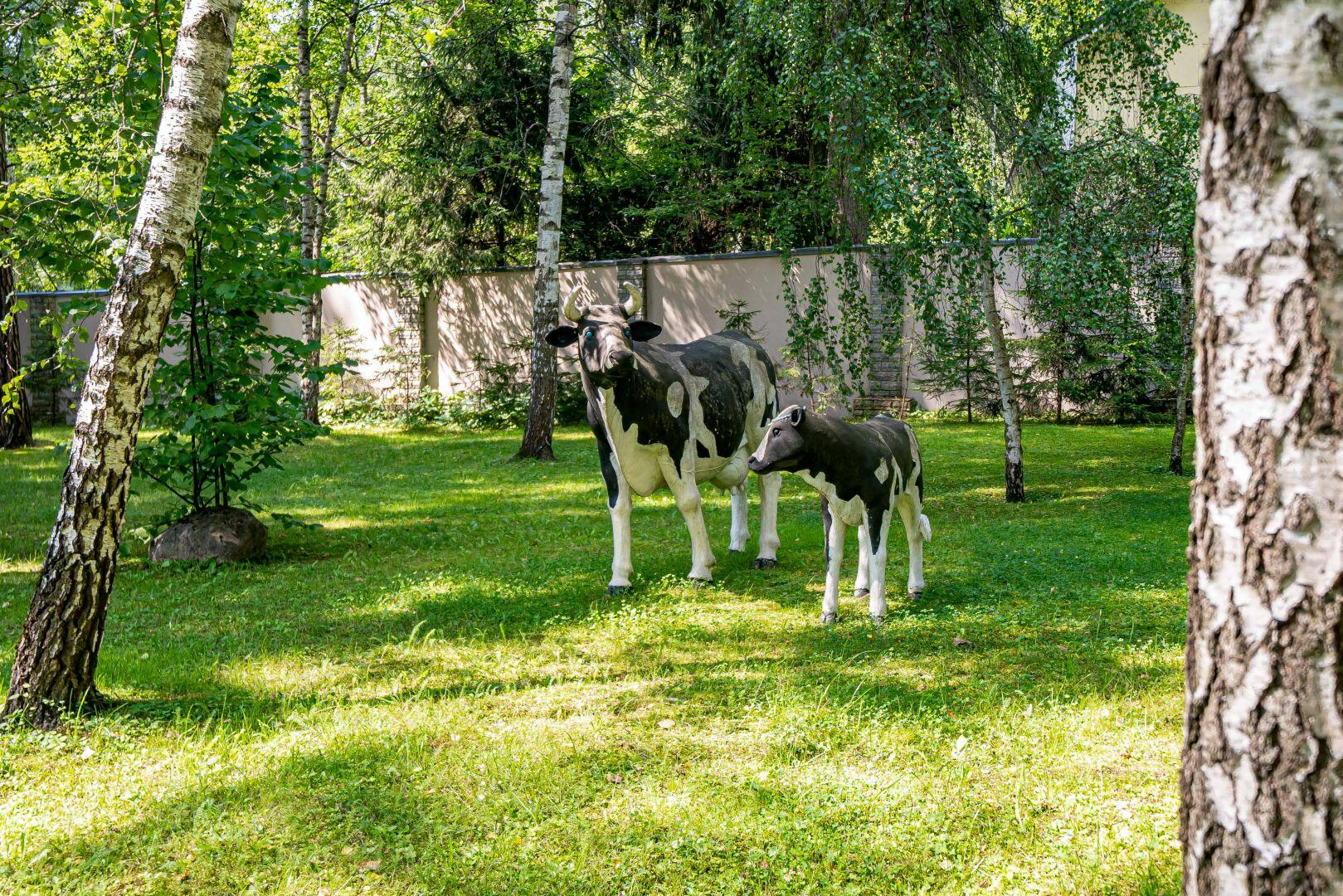 2-этажный коттедж 850 м² с отделкой