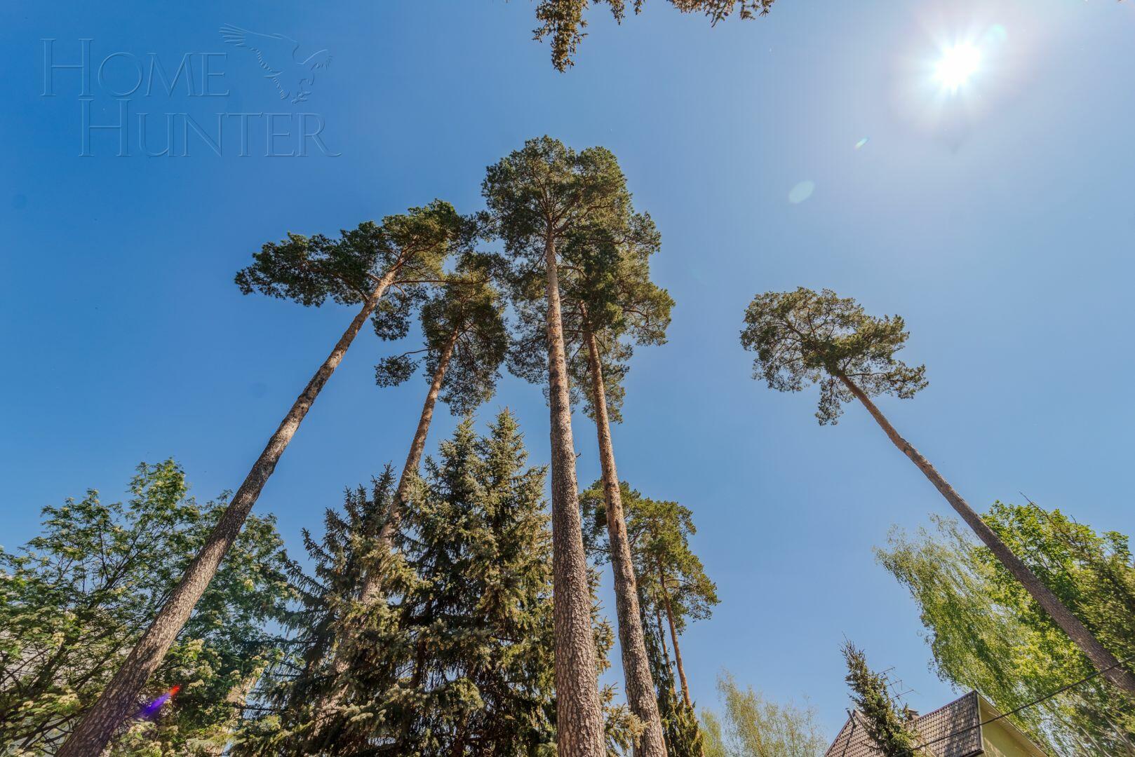2-этажный коттедж 560 м² без отделки