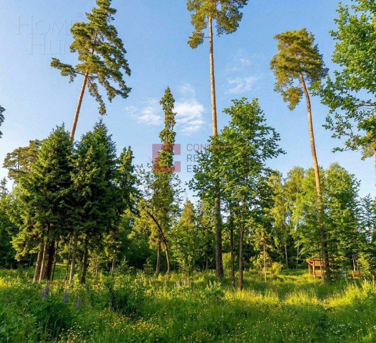 Участок 28 сот.