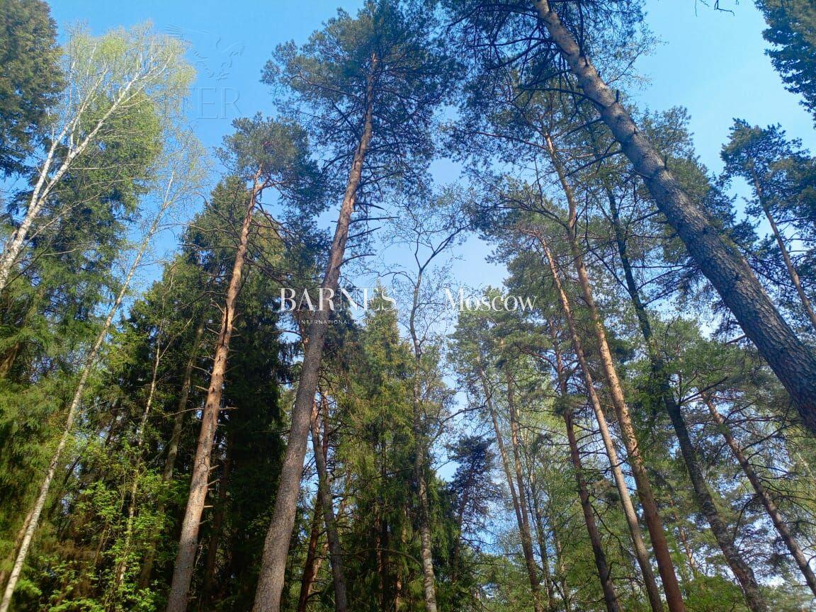 Участок 48 сот.