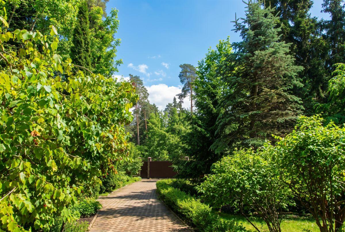 3-этажный коттедж 1 000 м² с отделкой