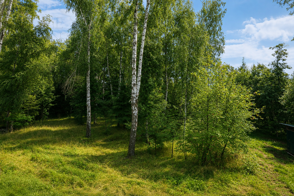 2-этажный коттедж 1 500 м² без отделки