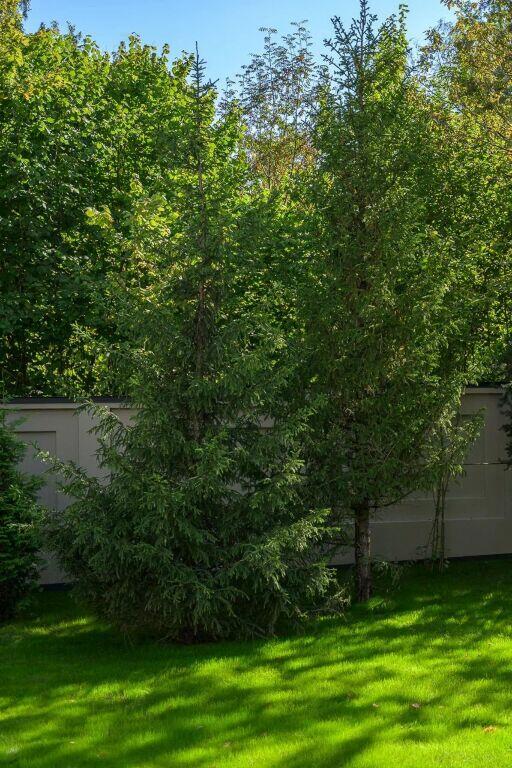 2-этажный коттедж 800 м² с отделкой