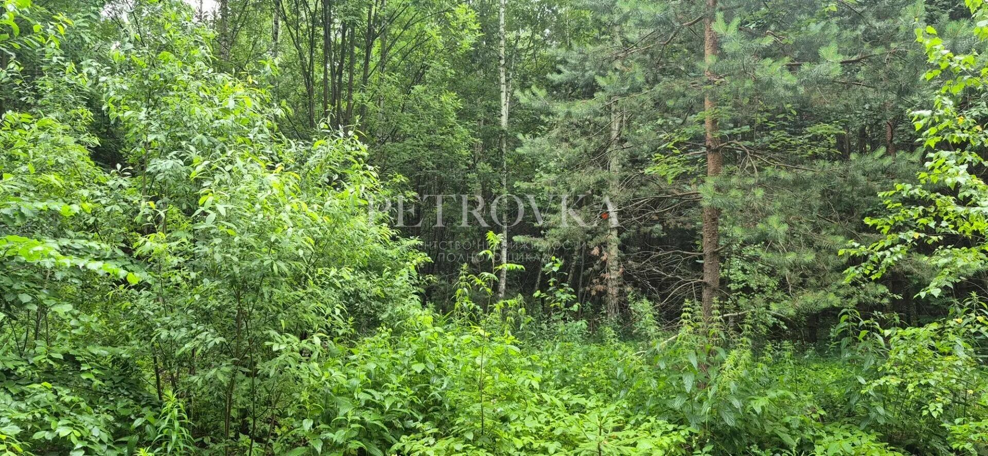 Участок 16 сот.
