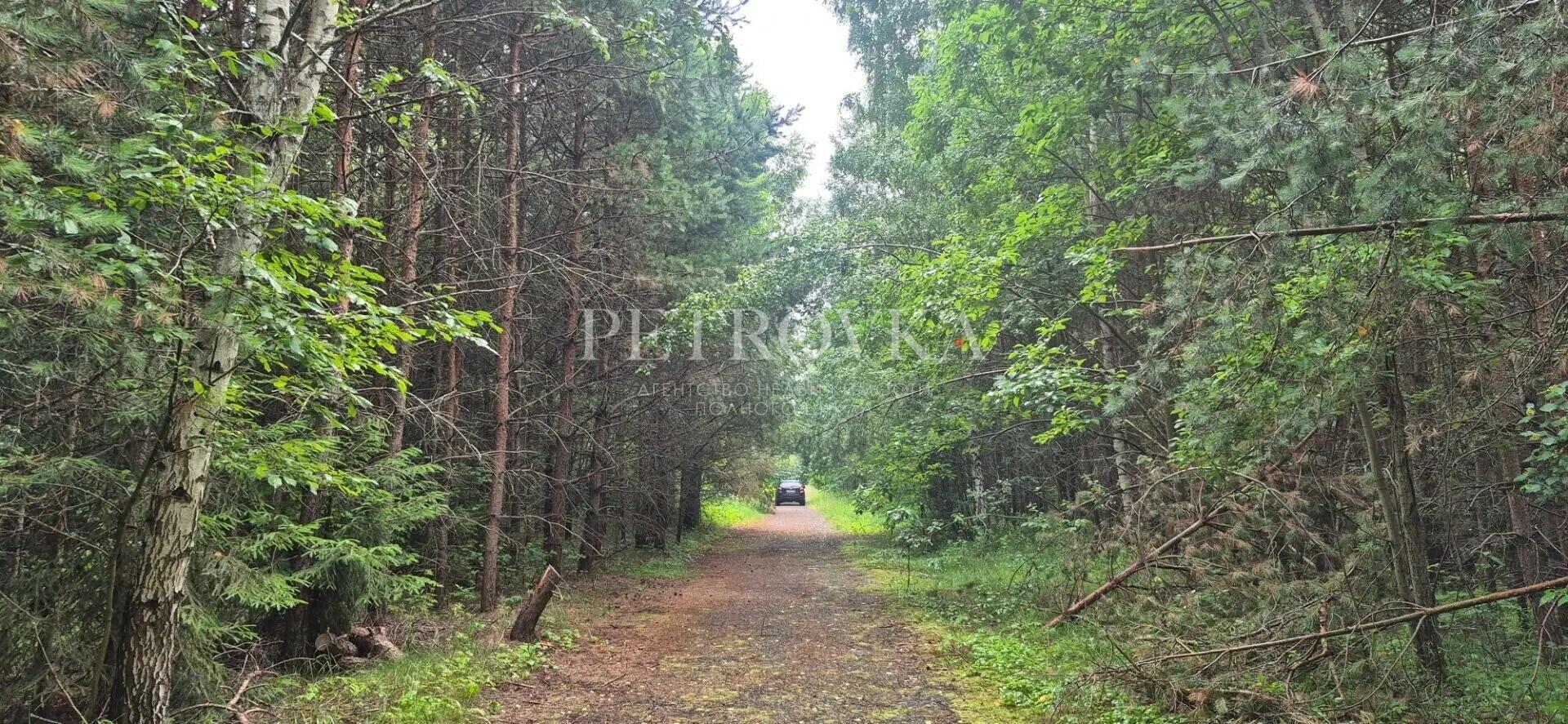 Участок 16 сот.