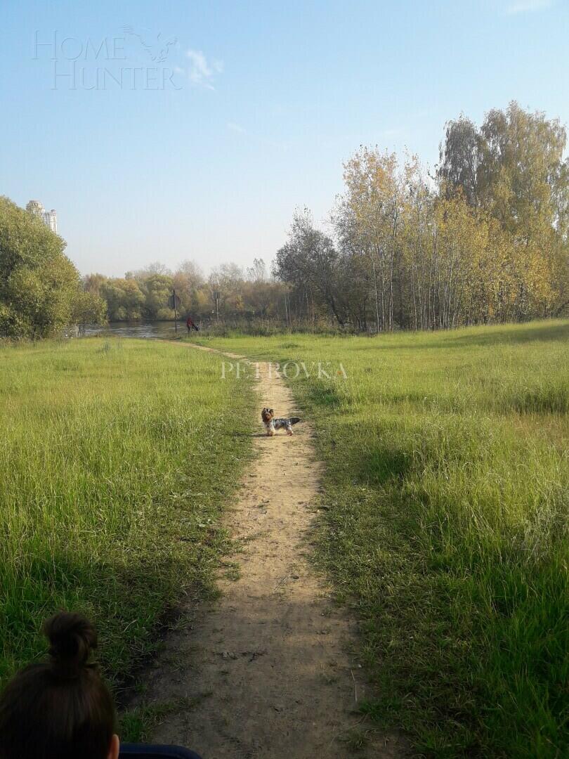 Участок 100 сот.
