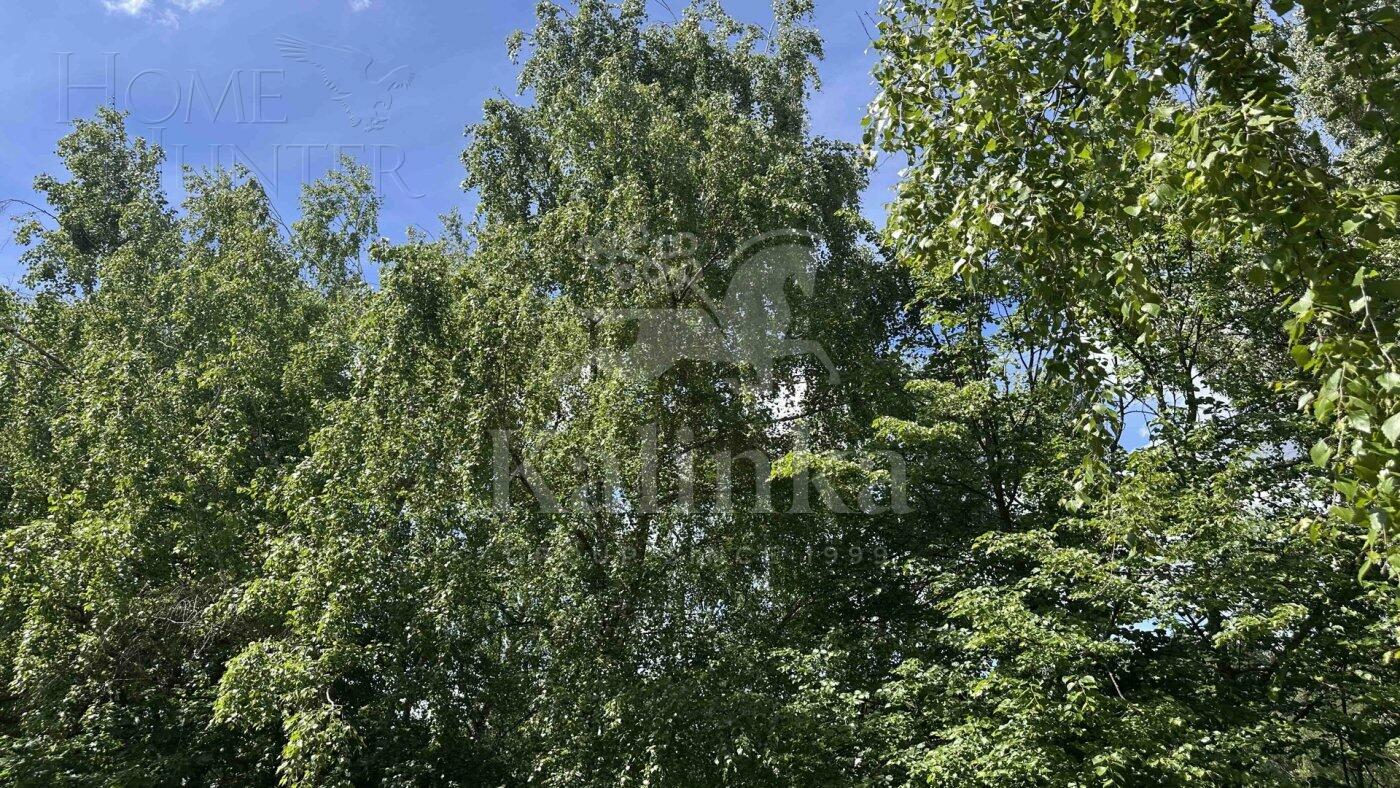 Участок 89.35 сот.