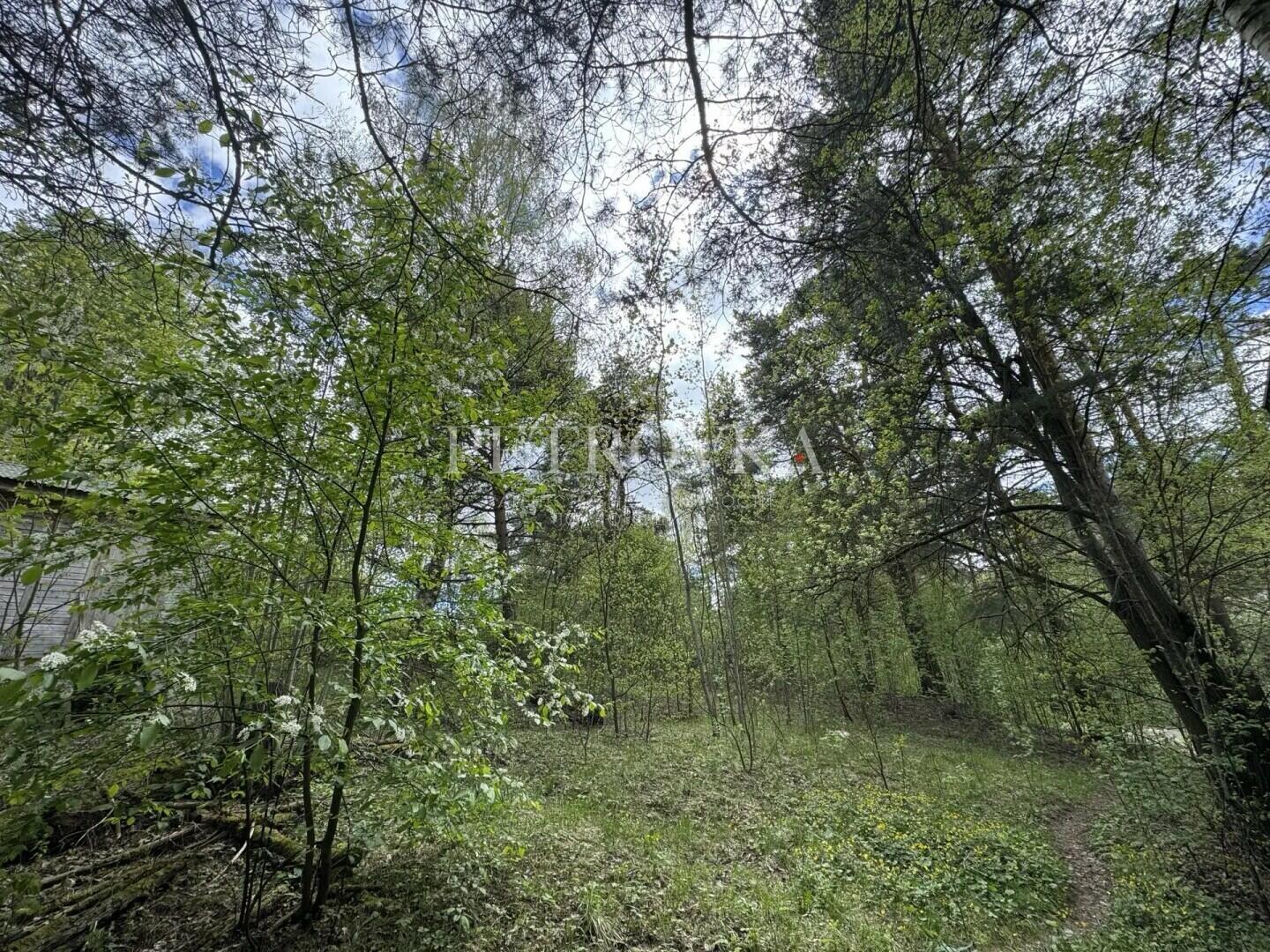 Участок 15 сот.