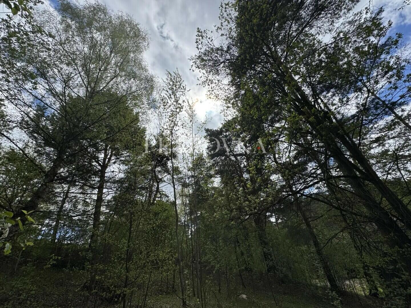 Участок 15 сот.