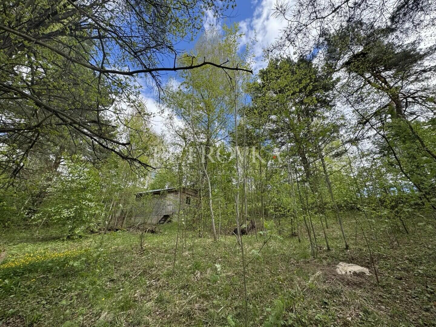 Участок 15 сот.