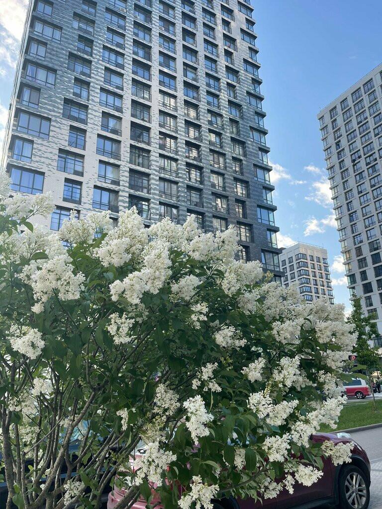 2-КОМН. КВАРТИРА С ОТДЕЛКОЙ 83.9 М² НА 16 ЭТАЖЕ