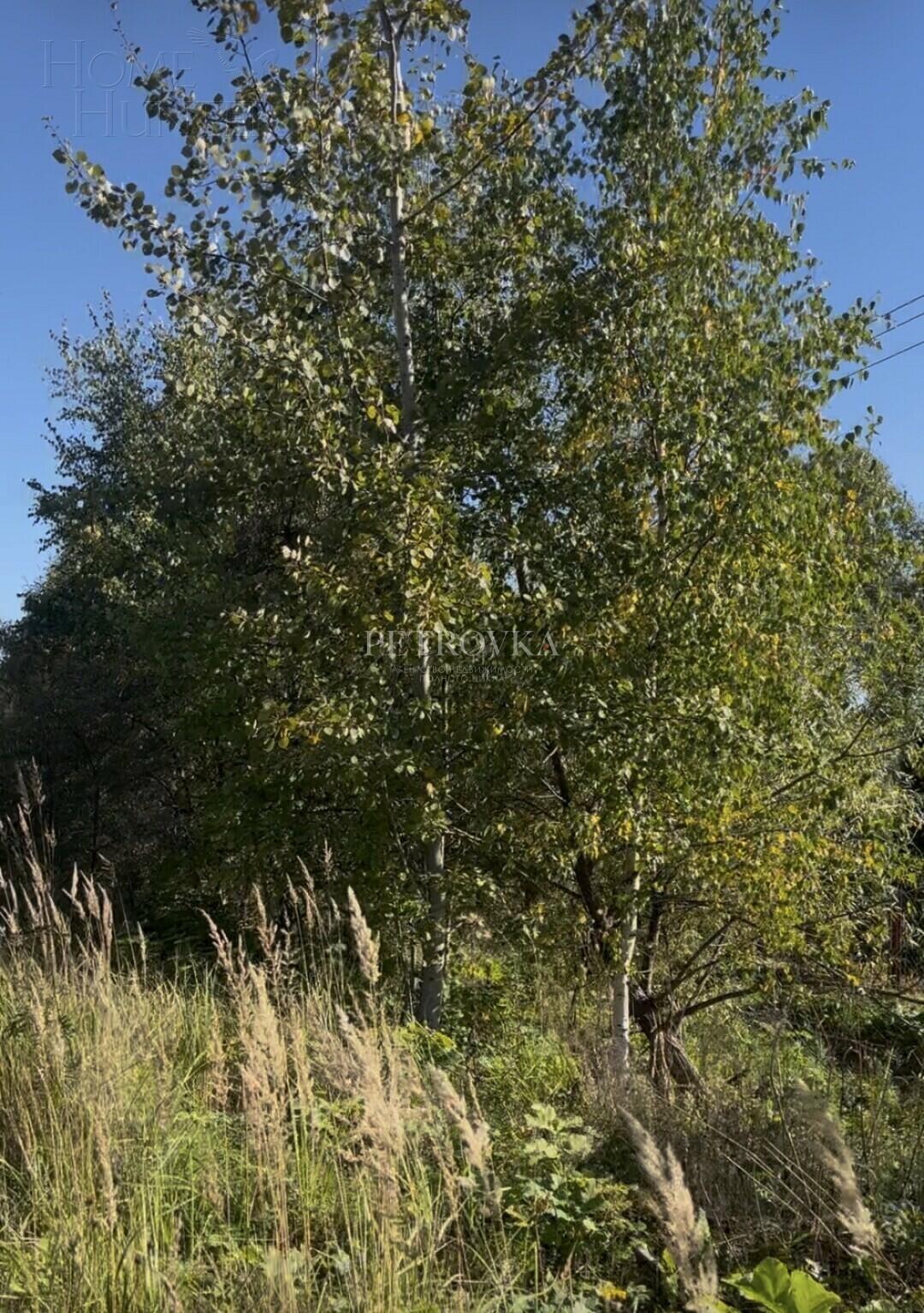Участок 218.5 сот.