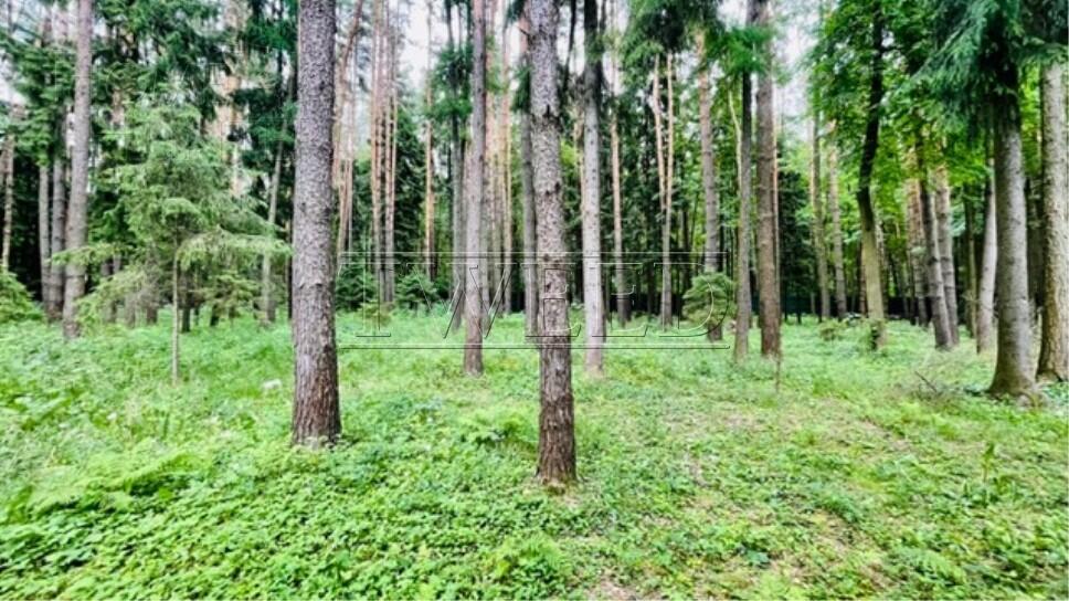 2-этажный коттедж 730 м² без отделки
