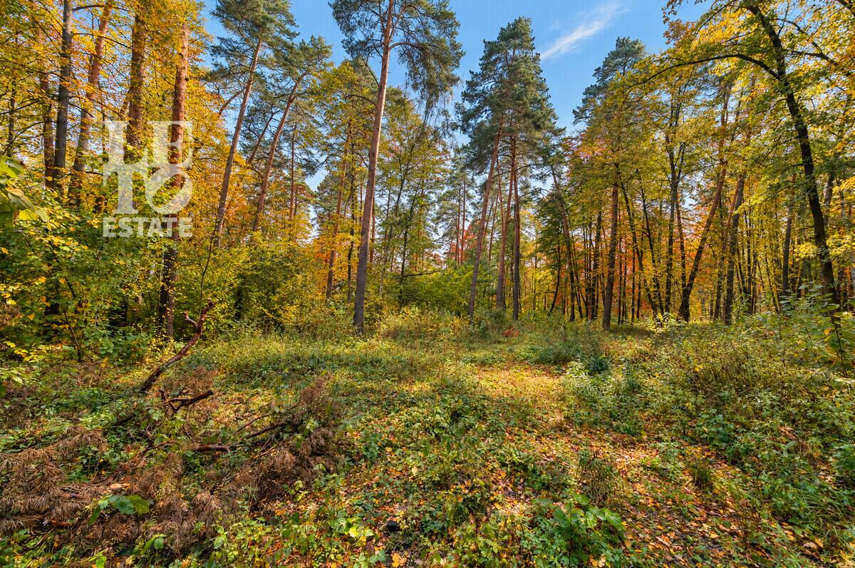 Участок 25 сот.