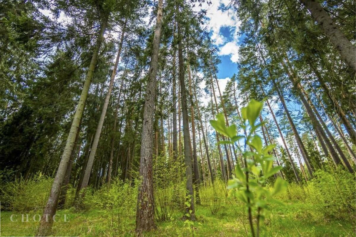 Участок 50 сот. в охраняемом поселке