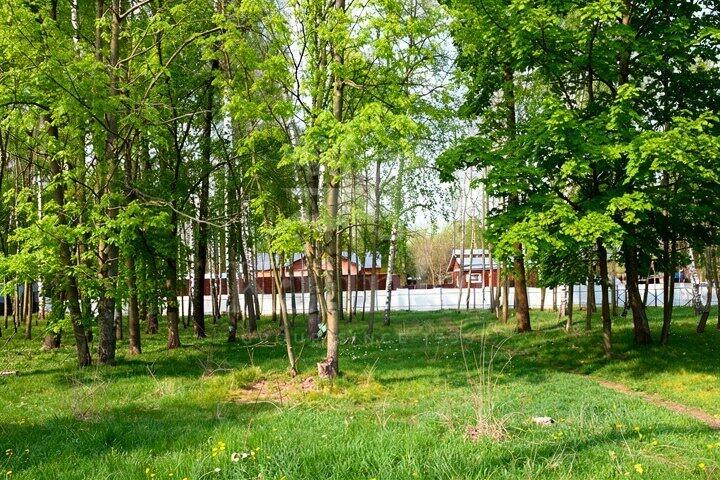Участок 120.6 сот.