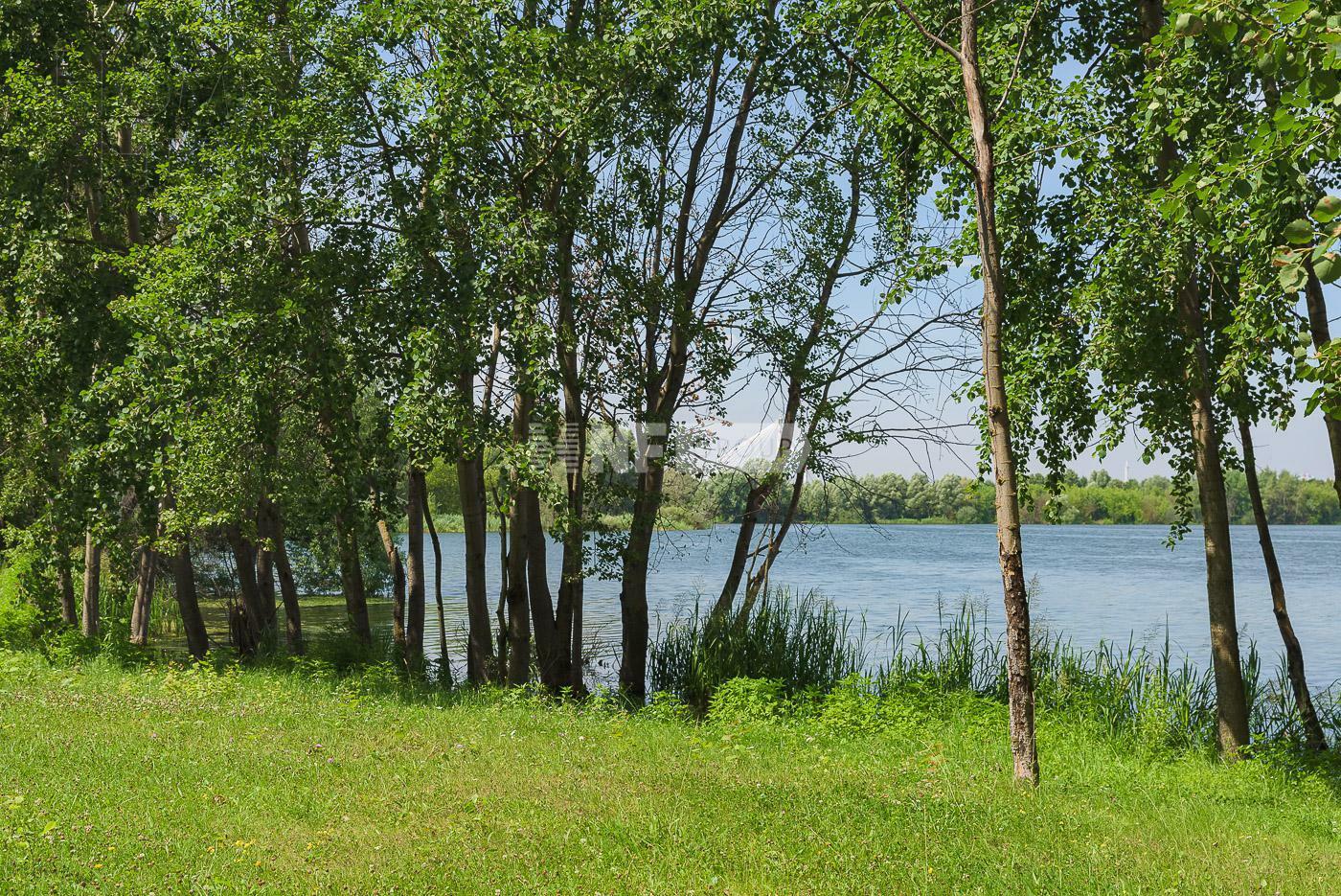 6-КОМН. КВАРТИРА С ОТДЕЛКОЙ 245 М² НА 2 ЭТАЖЕ