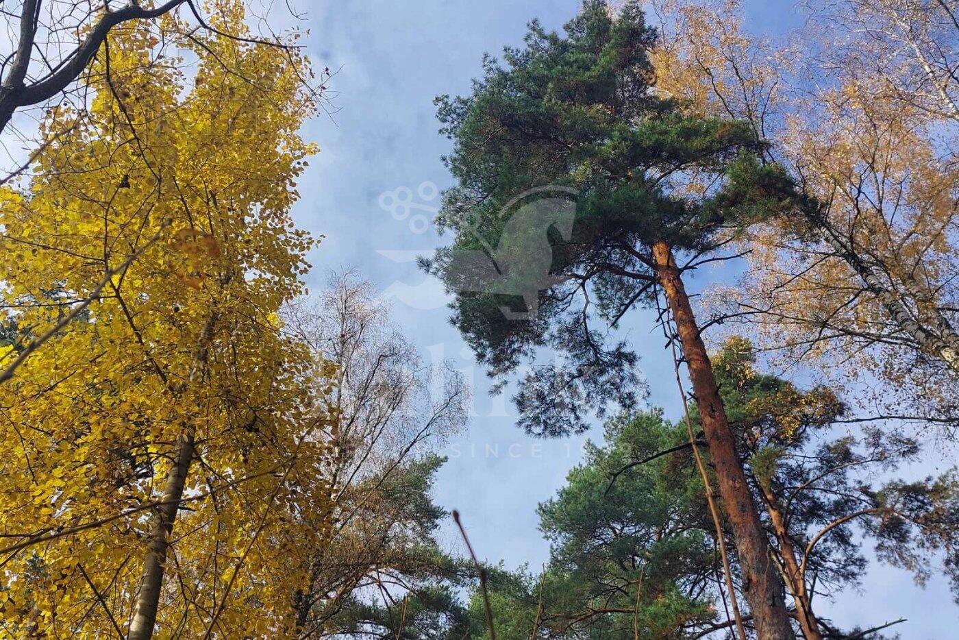 Участок 134 сот. в охраняемом поселке