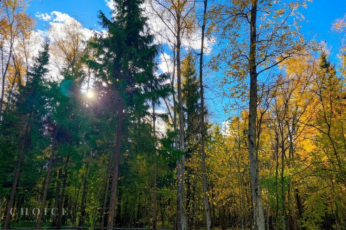 Участок 34.75 сот. в охраняемом поселке