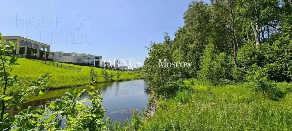 Участок 55 сот.