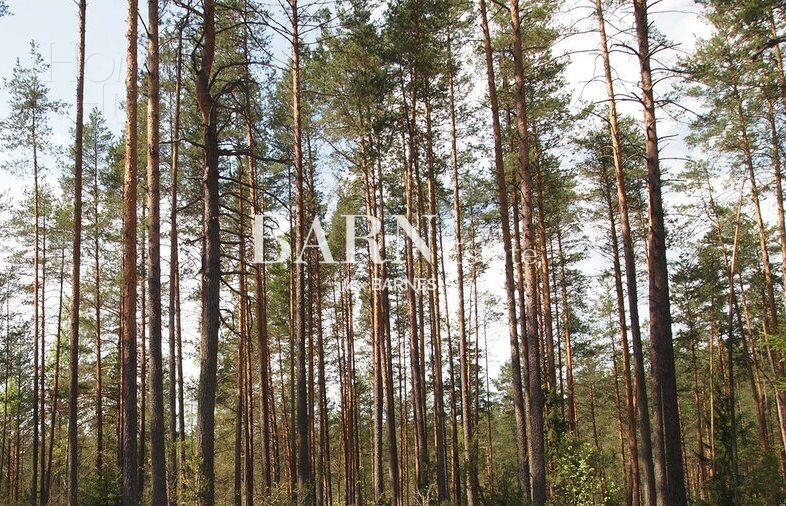 Участок 18 сот.