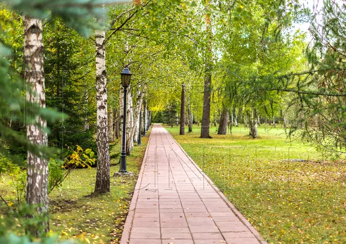 Коттеджный поселок «Корабельные сосны»