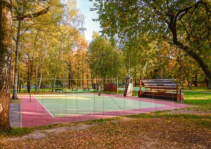 Коттеджный поселок «ДСК им. Ларина»
