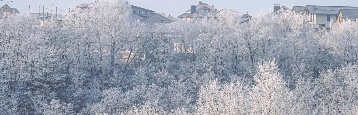 Расцвет загородного рынка