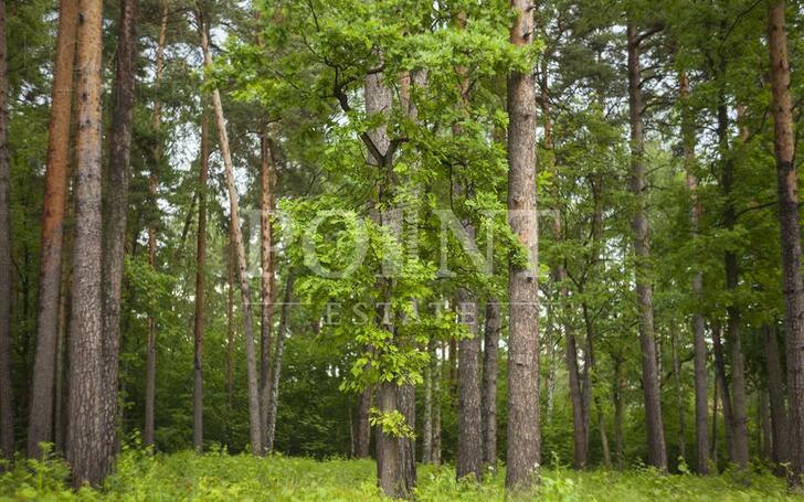 Участок 11.87 сот. в охраняемом поселке