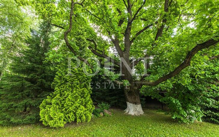 3-этажный коттедж 850 м² с отделкой