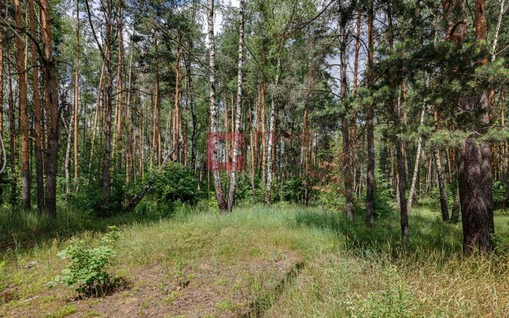 Участок 38 сот. в охраняемом поселке