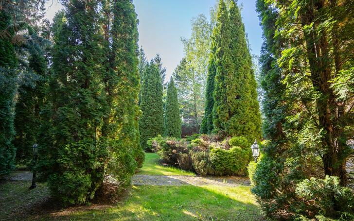 3-этажный коттедж 350 м² с отделкой