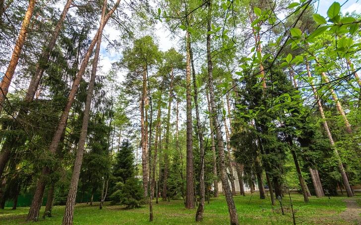 2-этажный коттедж 1 250 м² с отделкой
