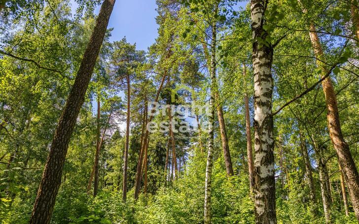 Участок 285 сот. в охраняемом поселке