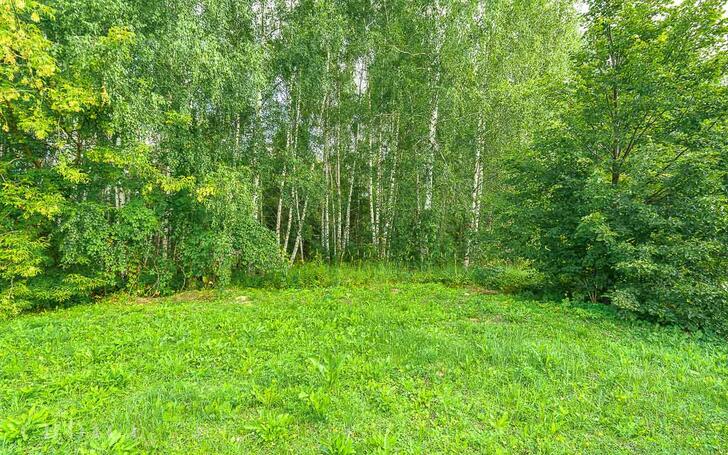 Участок 27 сот.