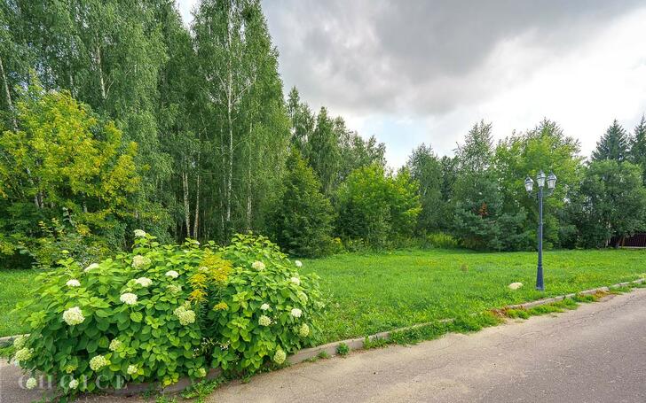 Участок 53.5 сот.