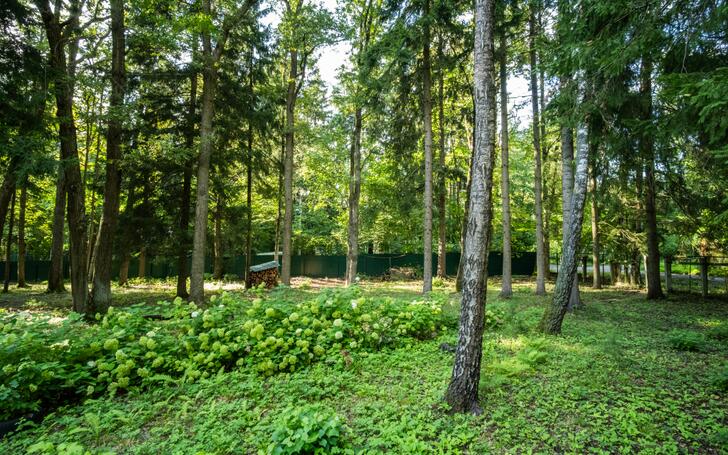 Участок 40 сот. в охраняемом поселке