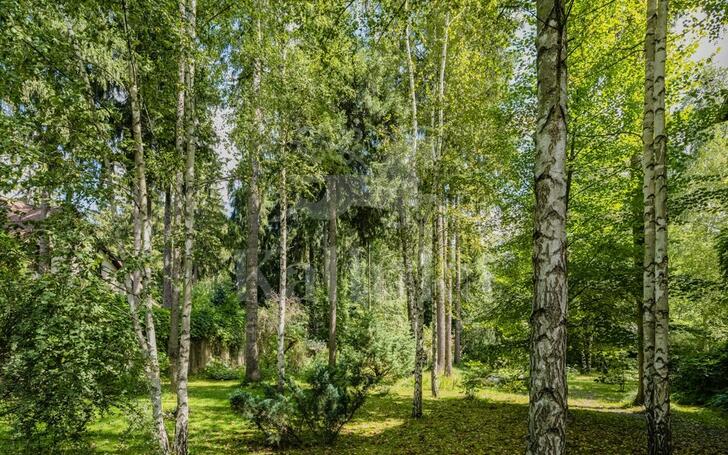 Участок 25 сот.