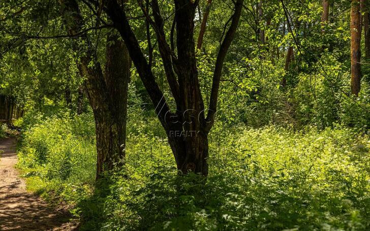 Участок 285.6 сот.