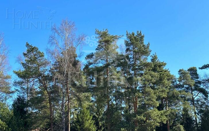 Участок 75.38 сот. в охраняемом поселке