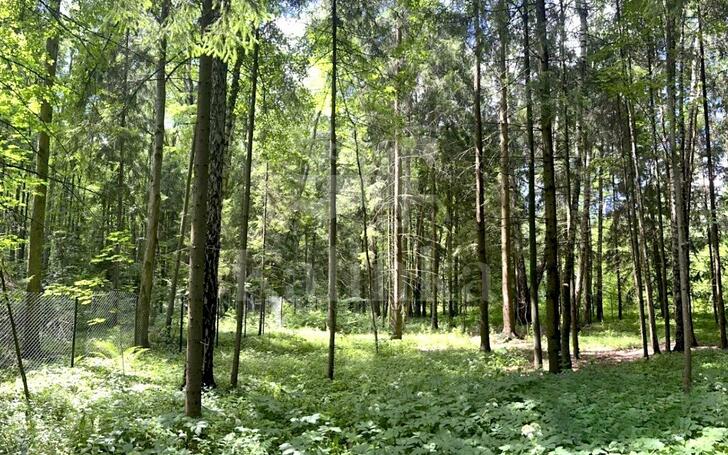 Участок 292.29 сот. в охраняемом поселке