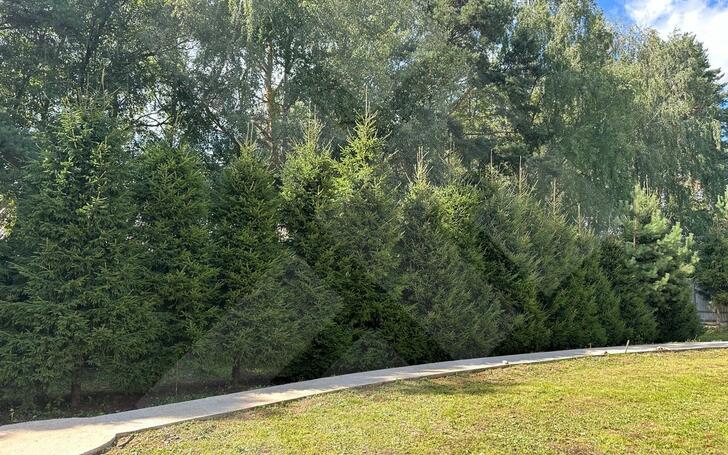 2-этажный коттедж 470 м² без отделки