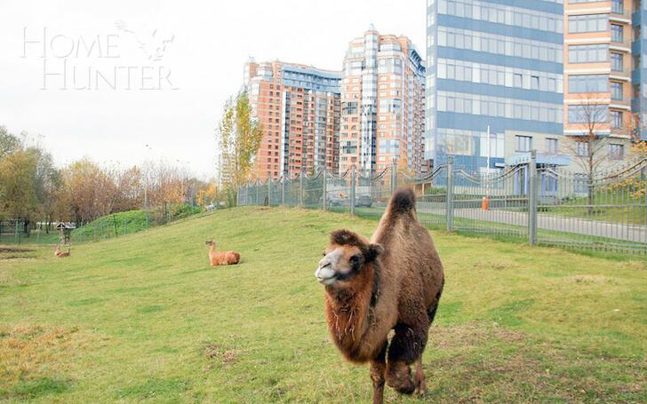 4-КОМН. КВАРТИРА С ОТДЕЛКОЙ 114 М² НА 10 ЭТАЖЕ
