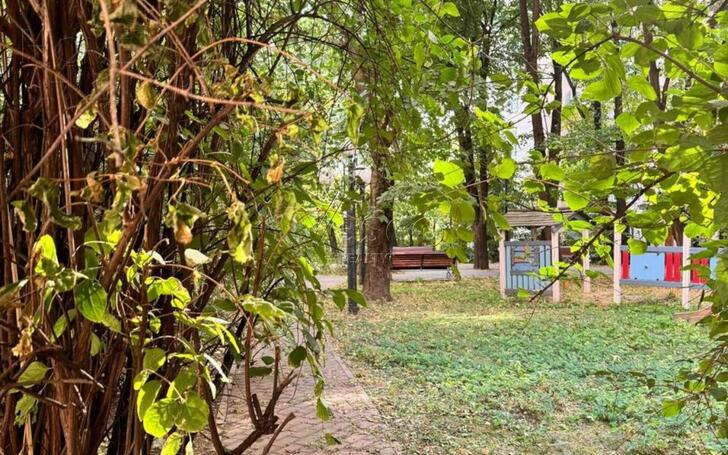 3-КОМН. КВАРТИРА БЕЗ ОТДЕЛКИ 254.1 М² НА 11 ЭТАЖЕ
