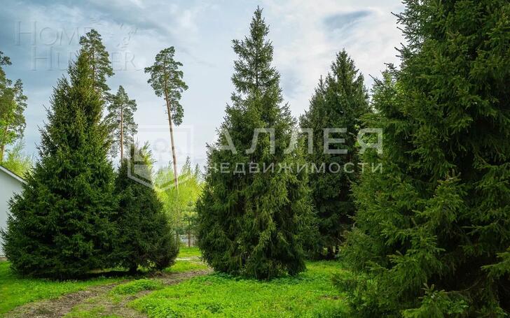 Участок 37.6 сот. в охраняемом поселке