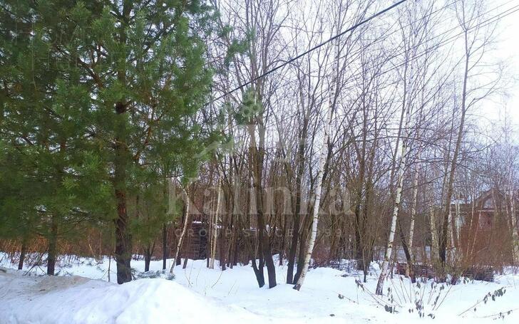 Участок 31 сот.