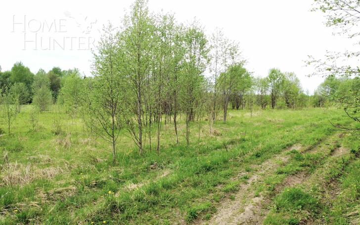 Участок 15 200 сот.